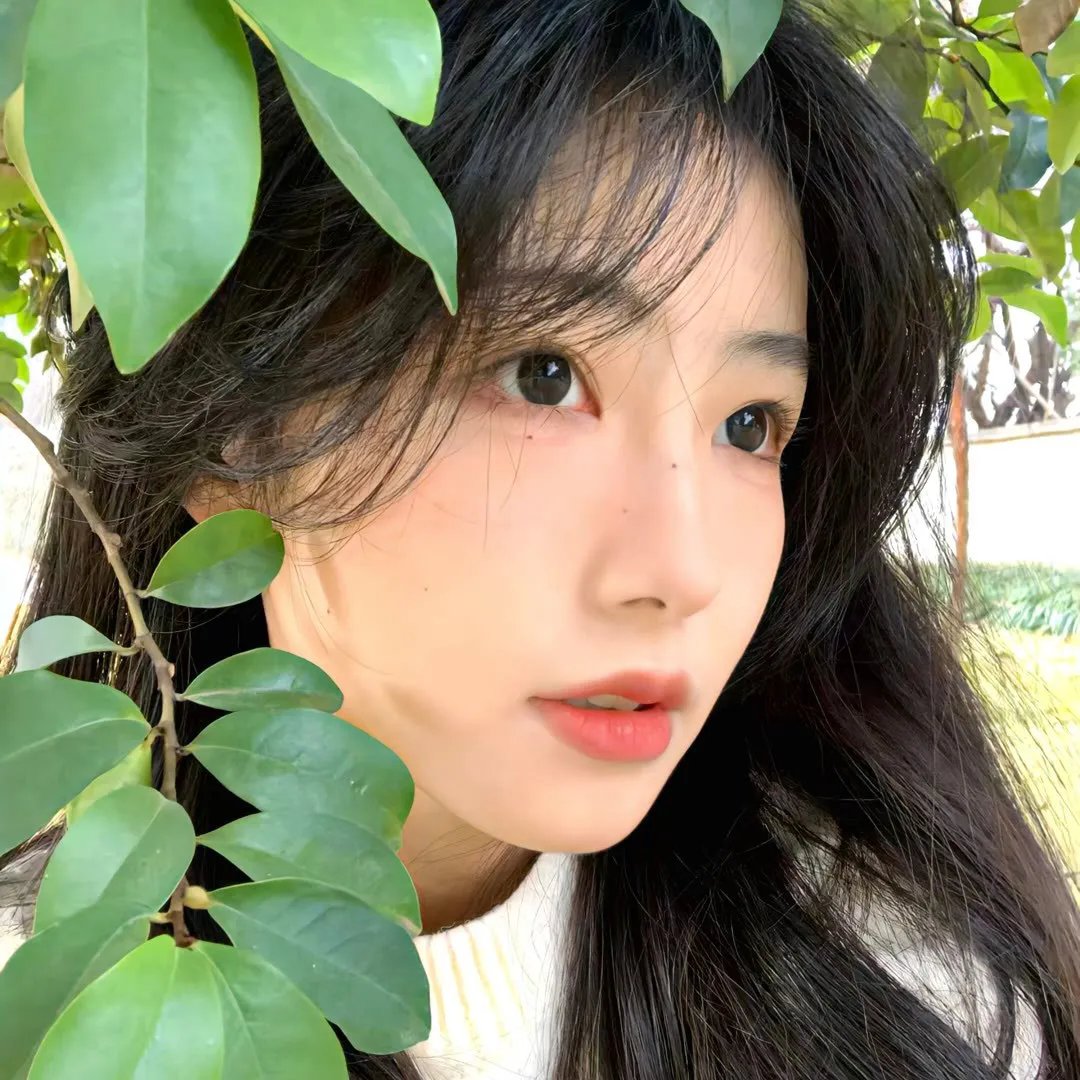 选举风暴